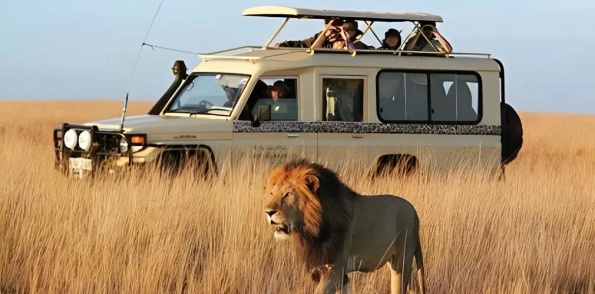 Grand African Traverse: 15 Countries Expedition