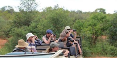 Herd of elephants on a 5-Day Botswana Safaris game drive