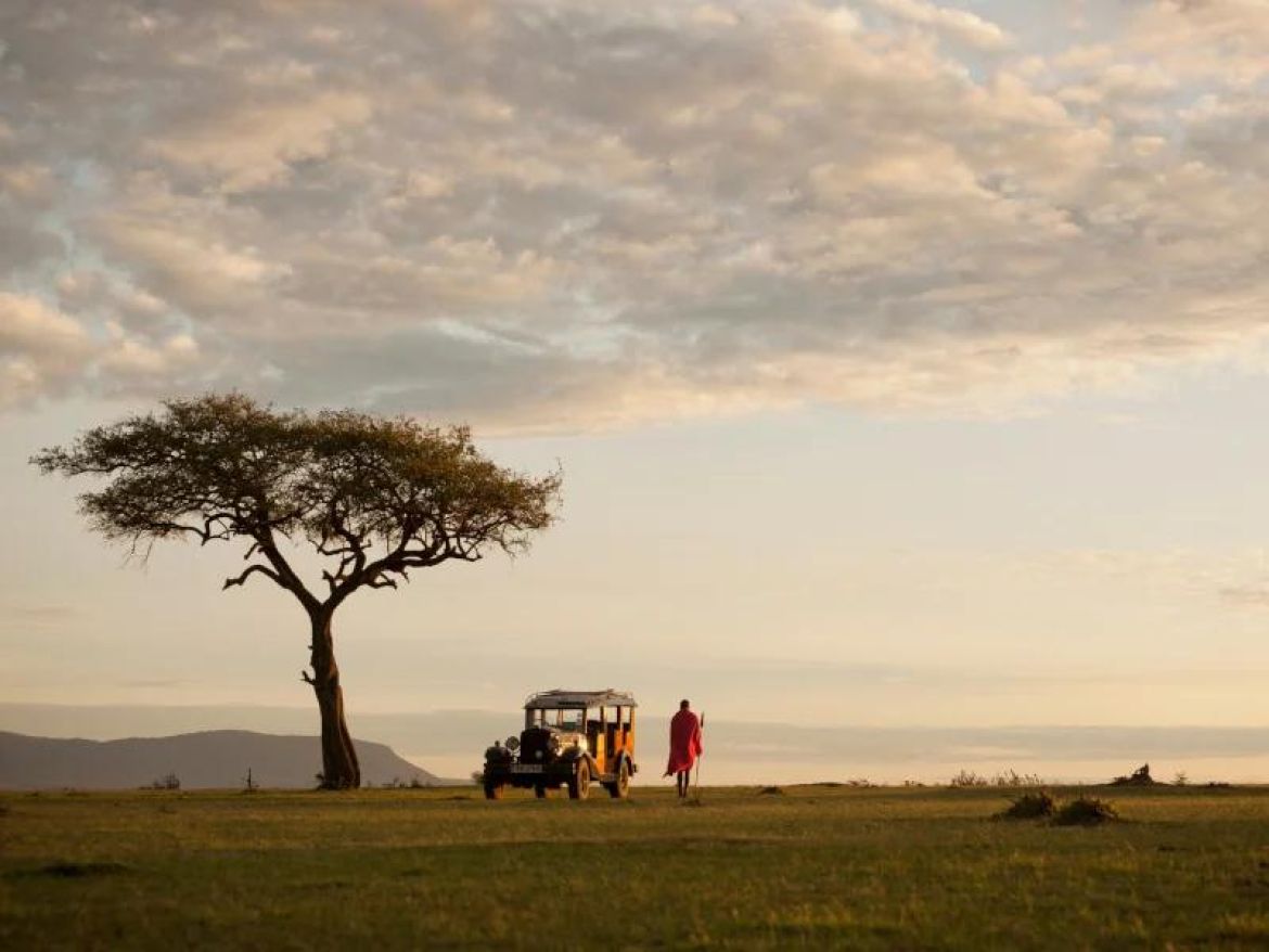 Addo Elephant Park Explorer
