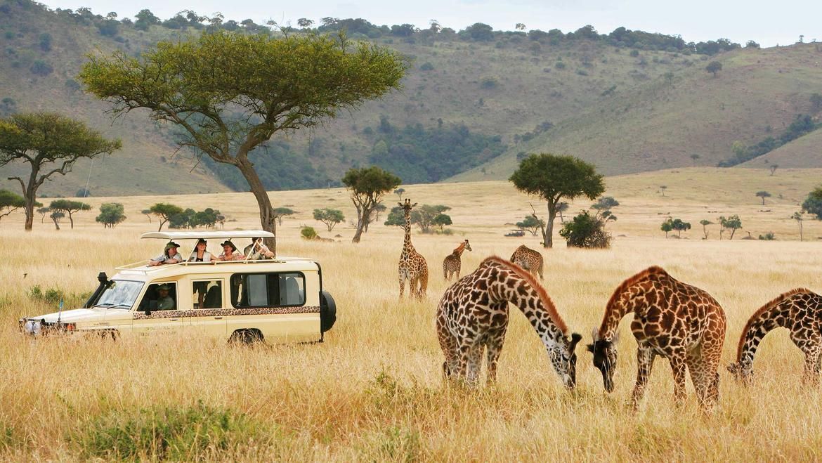 Addo Elephant Explorer