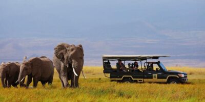 Addo Elephant Rides Rates - A traveler enjoys a guided elephant-back safari in the wild landscapes of Addo Elephant National