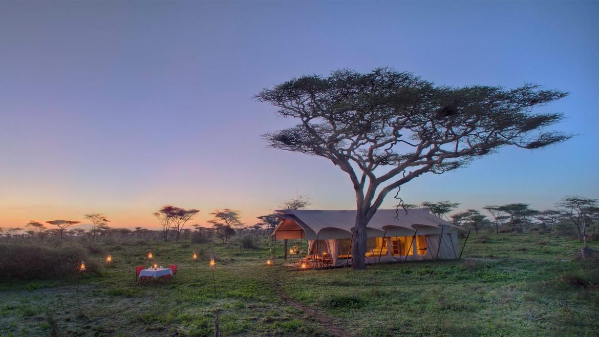Africa's Serengeti Grand Migration Safari