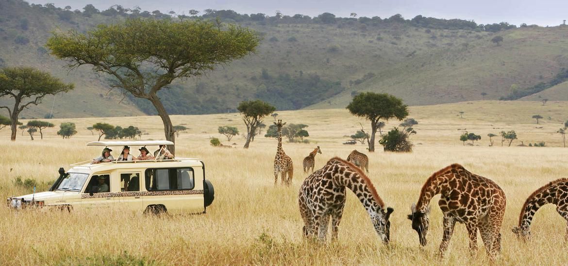 Kenya Solo Safari Adventure
