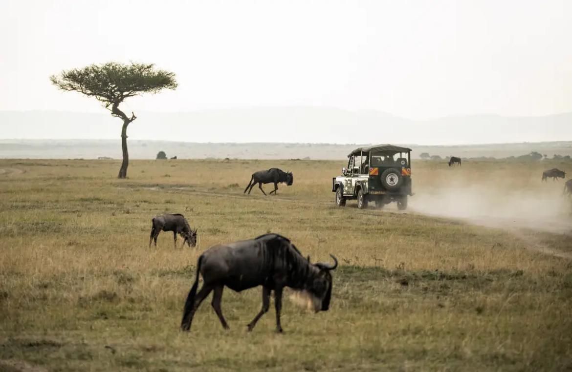 Big Five Expedition: Multi-Country