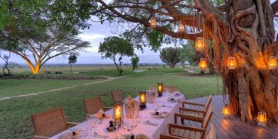 City & Urban: A vibrant African city skyline merging with natural landscapes, representing the blend of urban life and