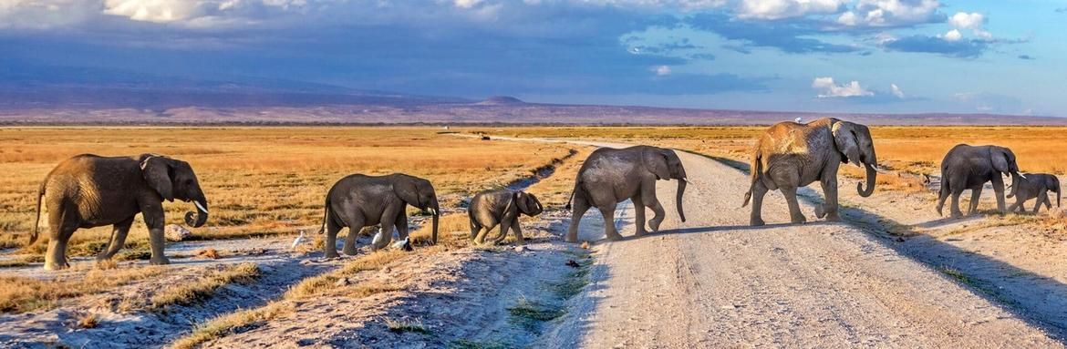 Climb Kilimanjaro For Charity 2021