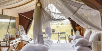 East African Akagera Game Lodge Booking - Majestic Lion in Akagera National Park