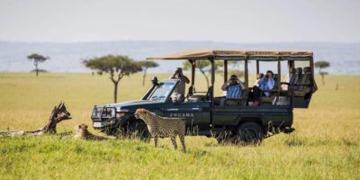 East African Akagera Tour: A herd of zebras grazing in Akagera National Park, Rwanda.