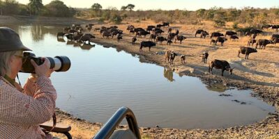 Luxury tent in East African Bamurru Plains Wild Bush Luxury setting