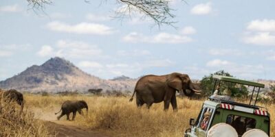 Solo travelers enjoying an East African Best Group Trips For Solo Travelers safari, observing wildlife in Kenya
