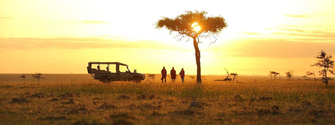 Rwanda Gorilla Trekking & Bisate Lodge Experience