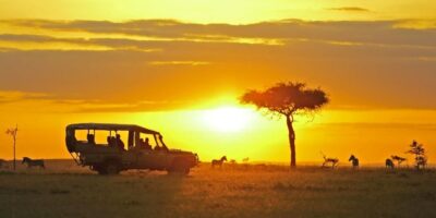 A group of diverse black solo travelers enjoying a safari in East Africa