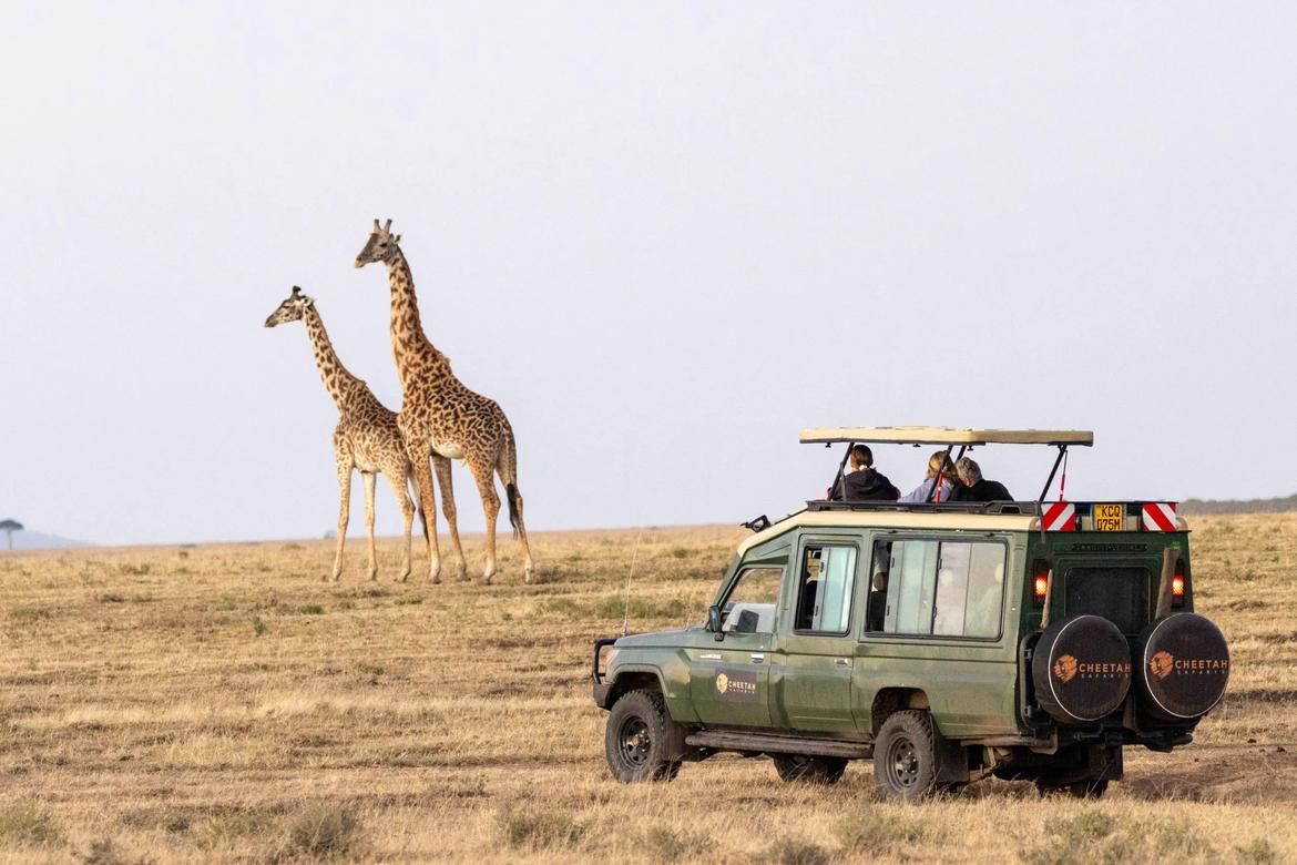 Kenya's Iconic Wildlife & Coastal Bliss