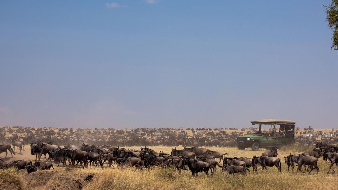 East African Safari With Airfare: Kenya's Wildlife Wonders