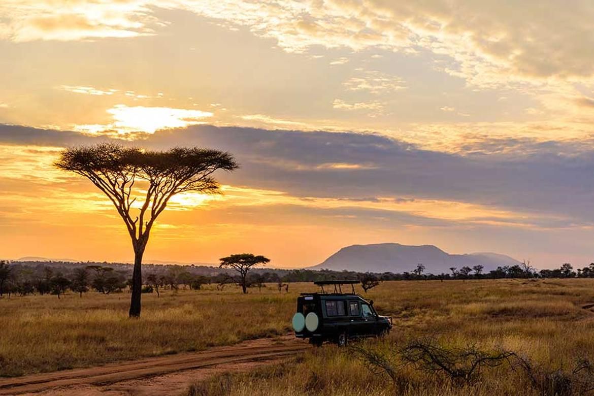 Family African Adventure: Kenya & Uganda