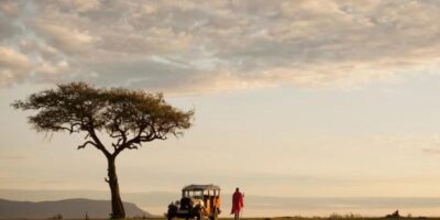 A group of travelers on a guided Forest Expedition in a lush African rainforest, spotting wildlife.