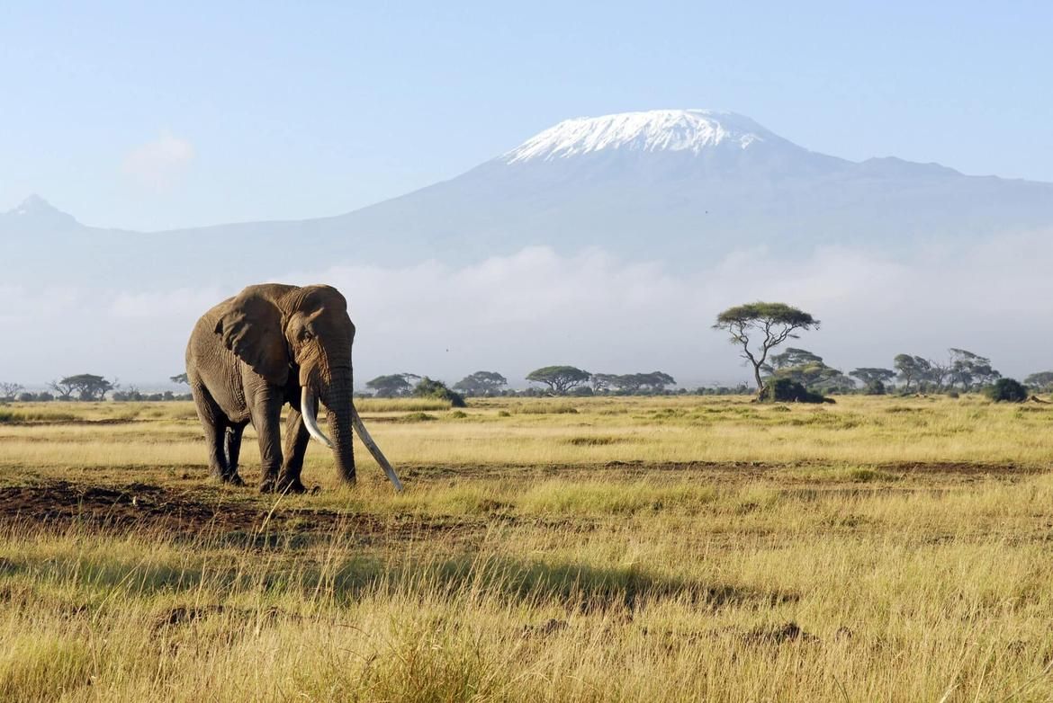 Okavango Delta Luxury Safari