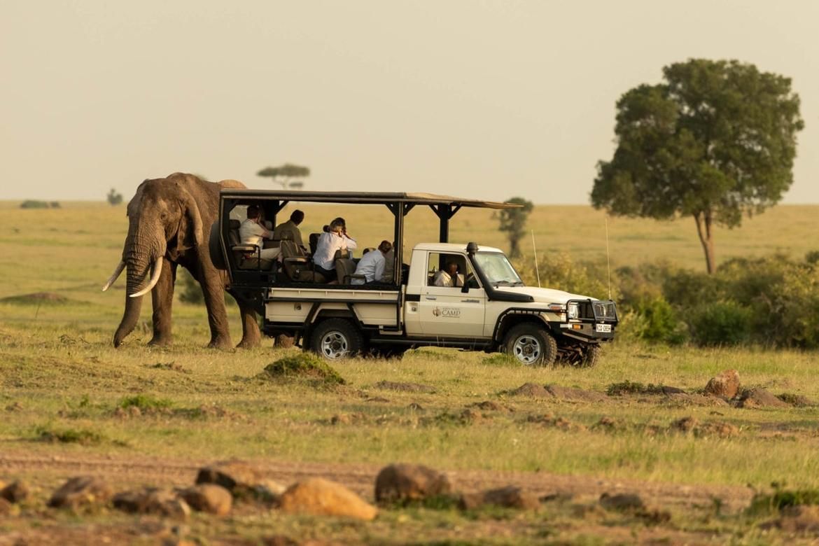 Kanana Camp Okavango Signature Safari