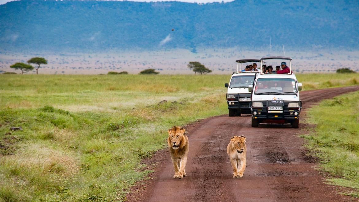 Kubu Kubu Lodge Serengeti Explorer