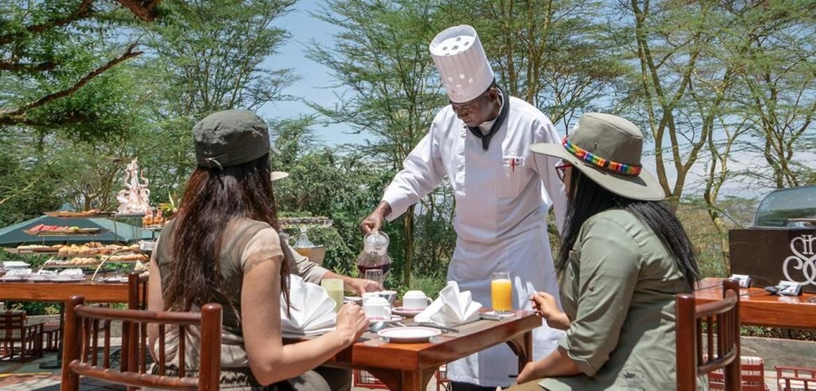Lobo Area Serengeti Wildlife Safari