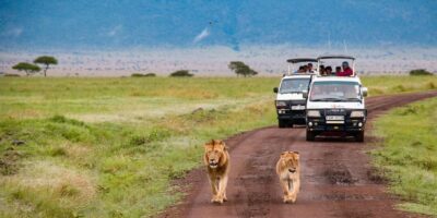 A luxurious safari lodge overlooking an African savanna with wildlife