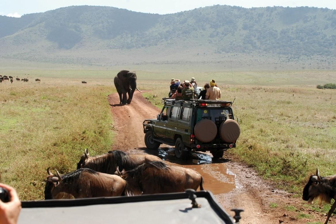 Mokoro (Canoe) Safaris Okavango Adventure