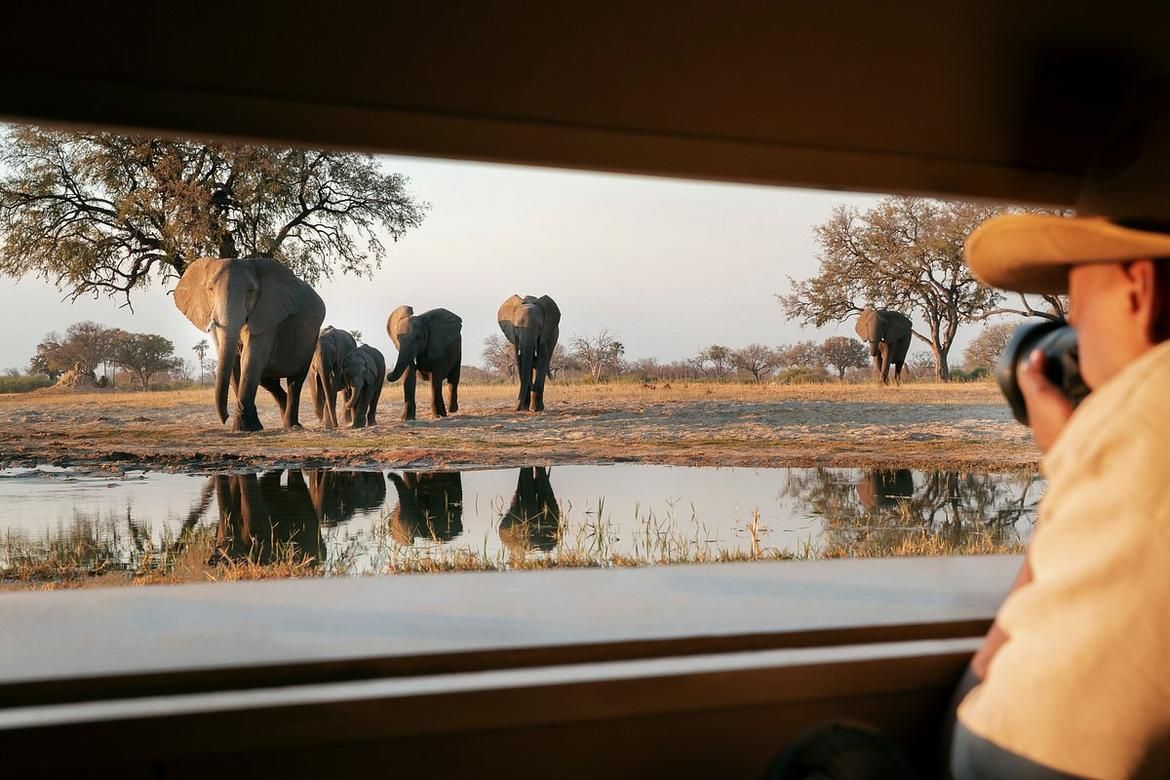 Namibia's Iconic Highlights Safari