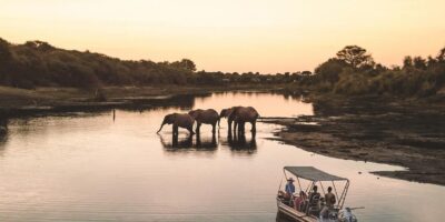 Boat safari on the Nile River at Murchison Falls National Park, Uganda, with wildlife visible