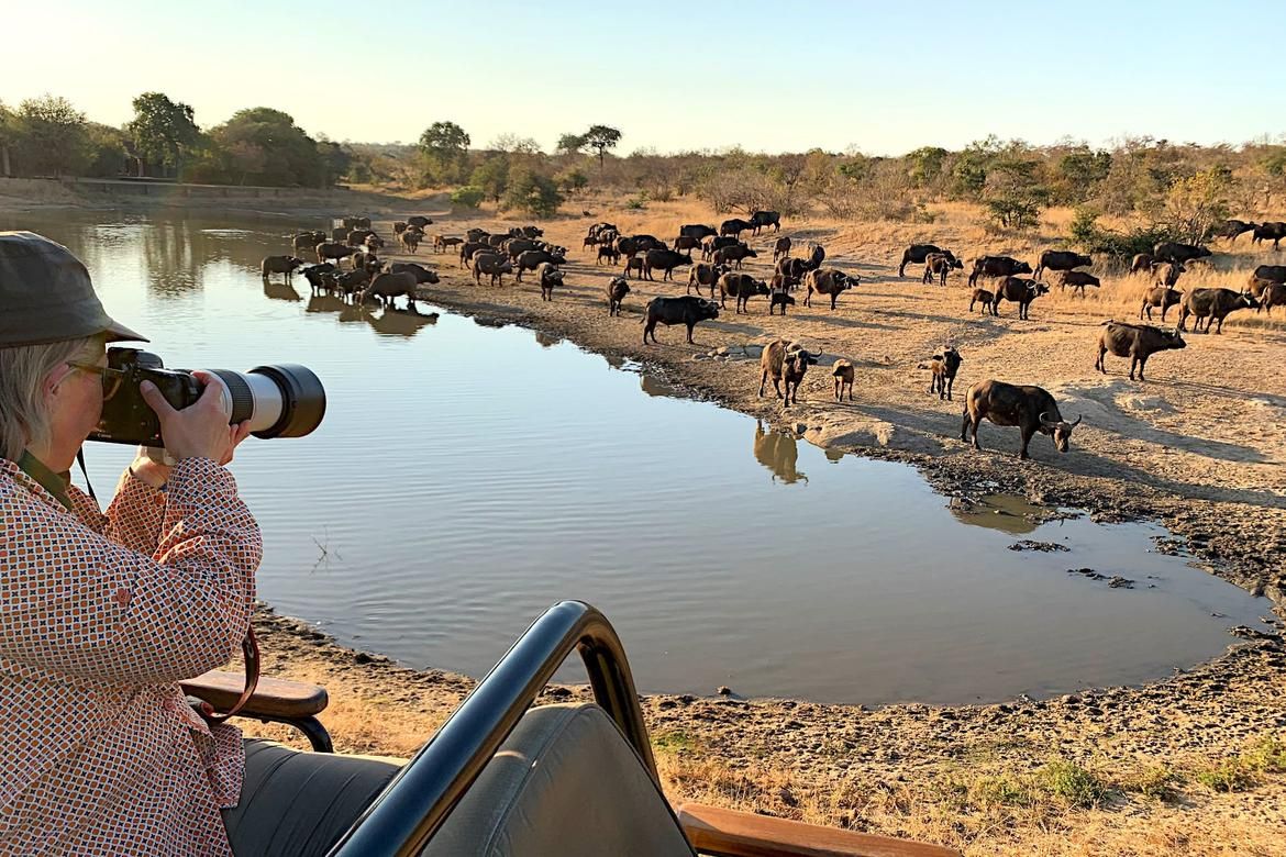 Okavango Delta Explorer