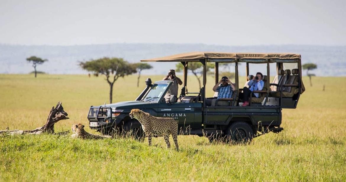 River Bend Lodge Addo Safari Experience