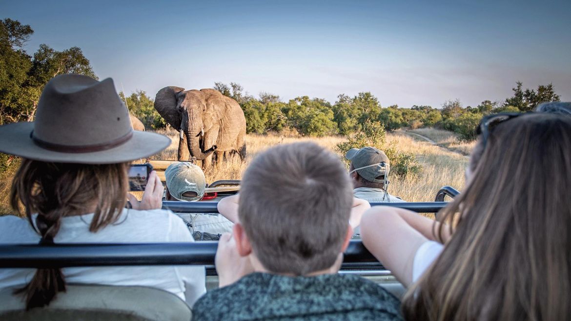 Rwanda's Primate & Wildlife Discovery