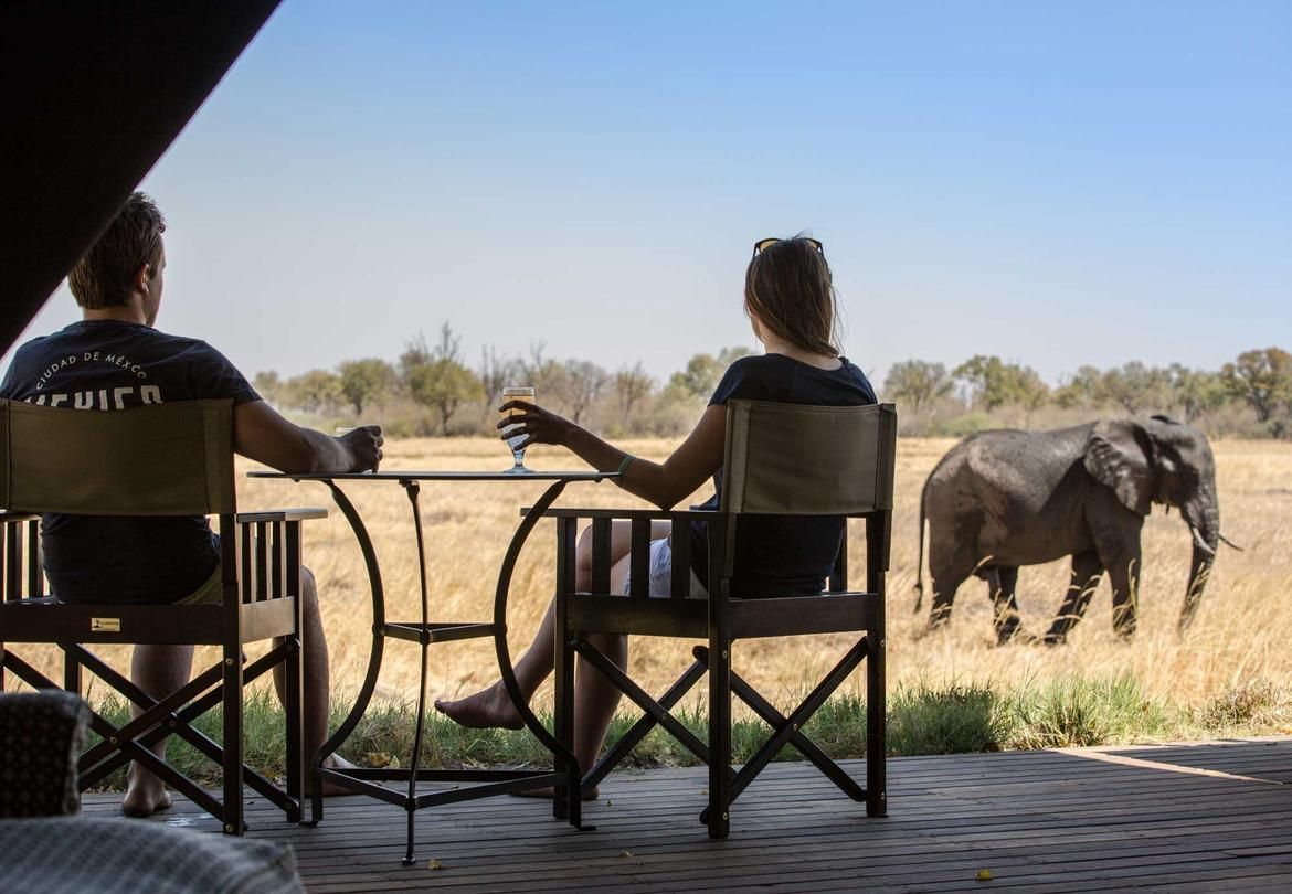 Sabi Sands Ultimate Wildlife Experience