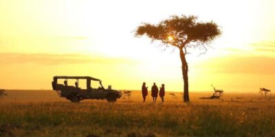A stunning view combining African safari wildlife with beautiful Zanzibar beaches for Safari & Zanzibar Packages.