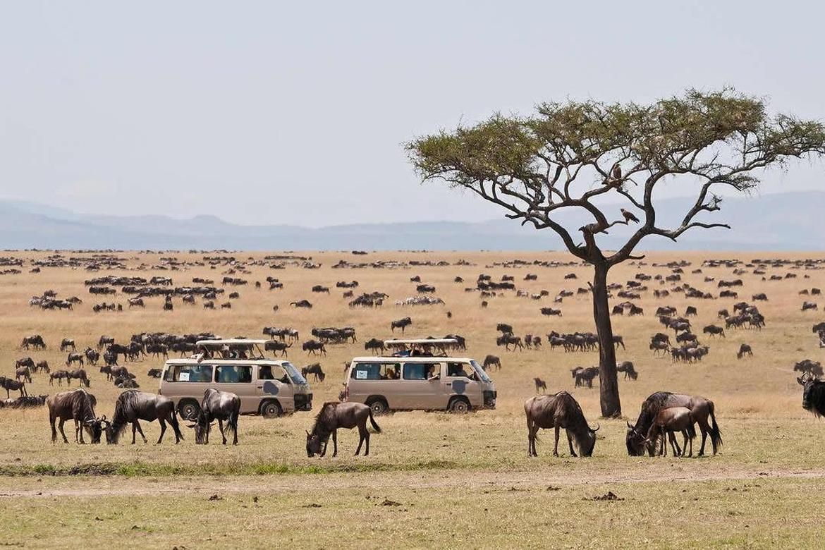 Namibian Desert Thrills & Coastal Escape