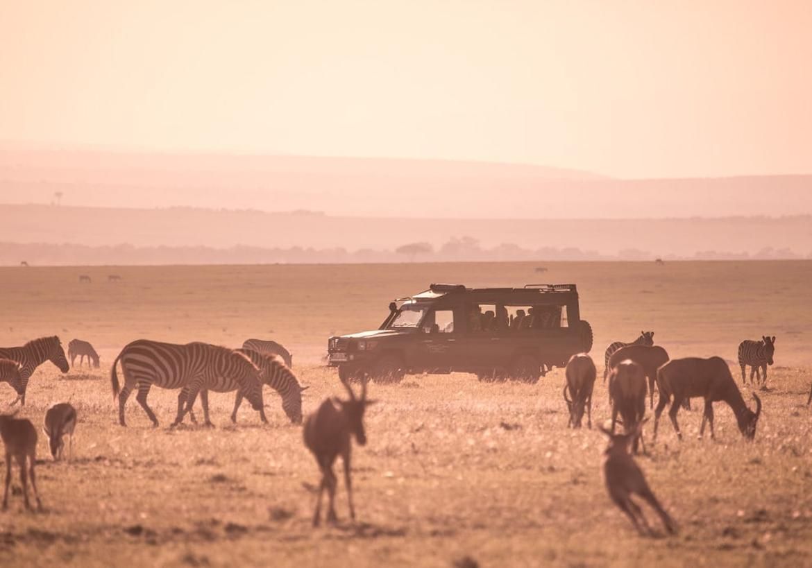 Serengeti 2 Day Safari Adventure