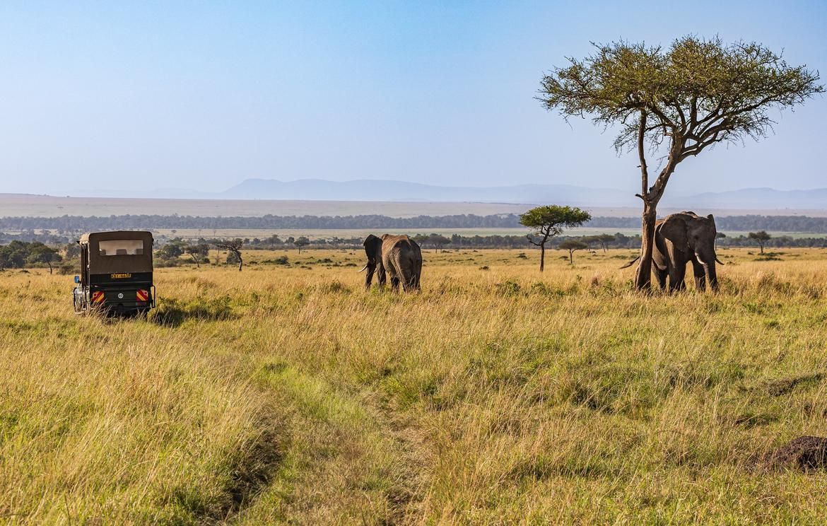 Serengeti Africa Wildlife Spectacle