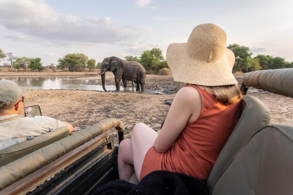 Serengeti Born Free Journeys