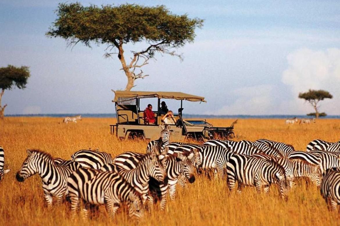 Serengeti Born Free Mountain Core Region Safari
