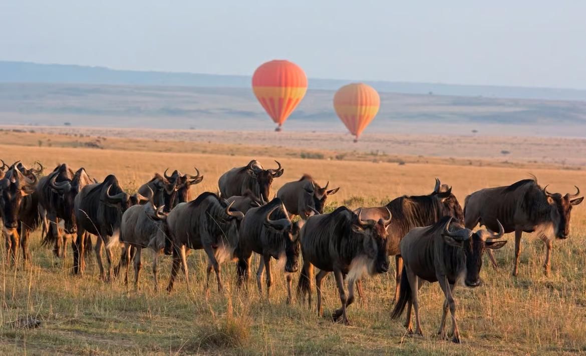 Serengeti Born Free Mountain Mountain Cluster