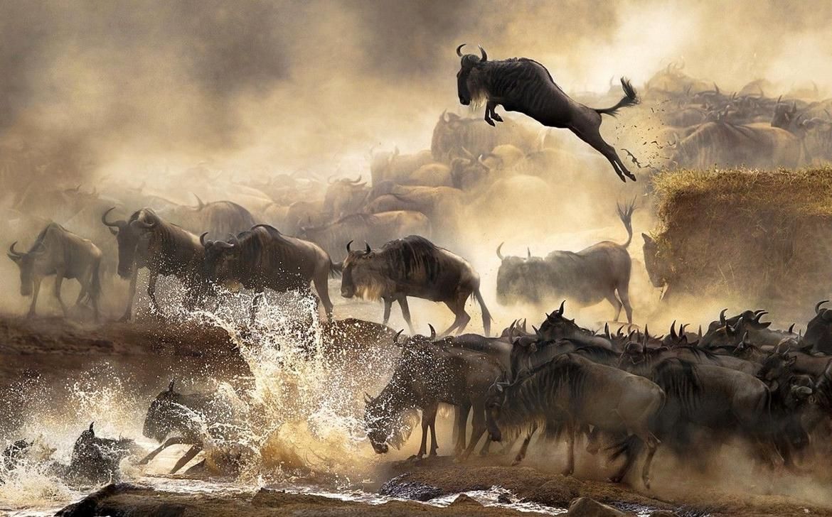 Serengeti Born Free Mountain Mountain Summit Area Luxury Safari