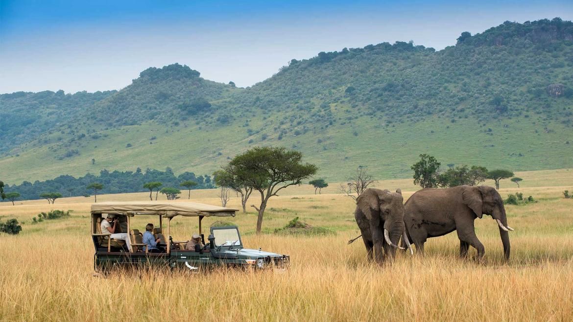 Serengeti & Maasai Mara Wildlife Explorer