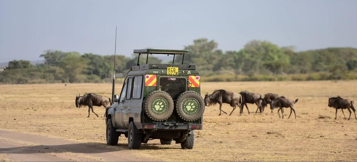 Serengeti Born Free Zenith Area Expedition