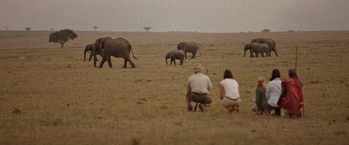 Serengeti Luxury Wildlife Safari