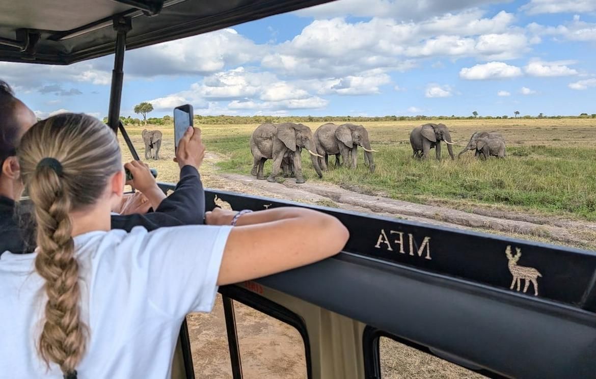 Serengeti Wildlife Explorer