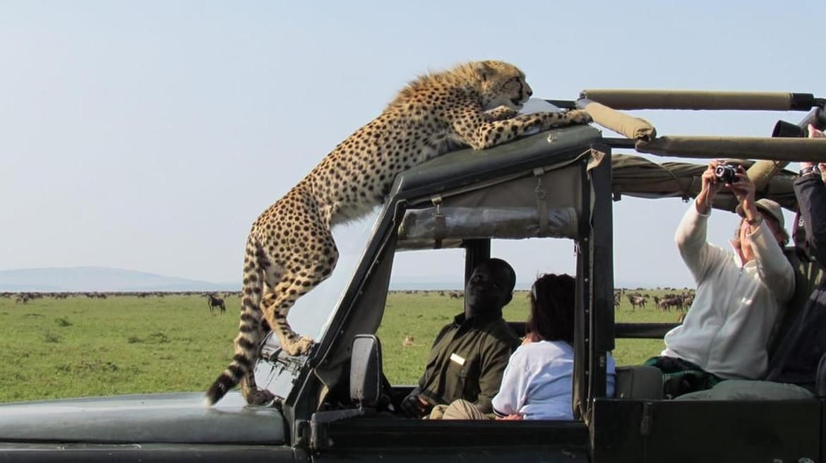Singita National Park Explorer