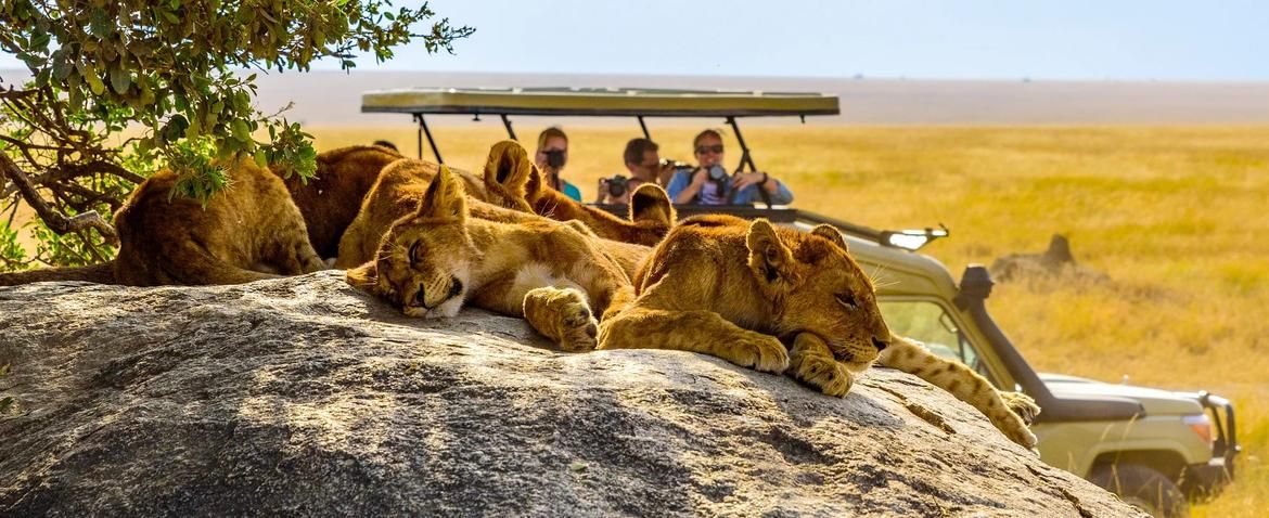 Kenya Solo Safari Adventure