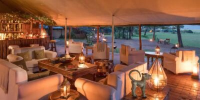 Elephants at the waterhole near Somalisa Camp Hwange during a luxury safari