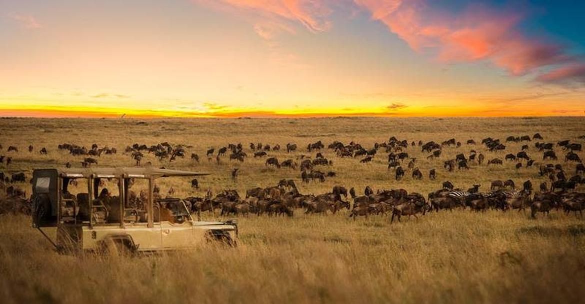 Top Tours Knysna - Garden Route Discovery