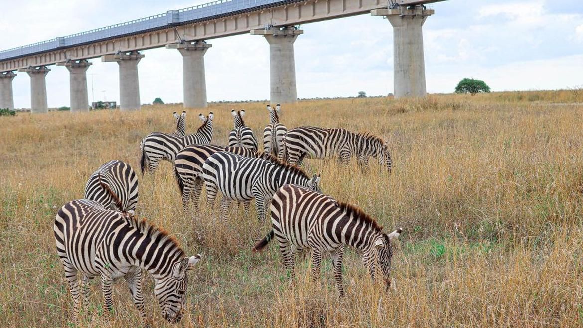 African Solo Explorer: Kenya, Rwanda & Namibia