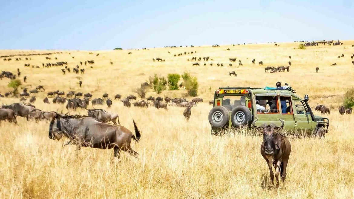 African Tapestry: Kenya, Rwanda & Namibia Discovery